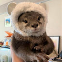 otterunhappy avatar