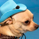 oubliettepussy avatar