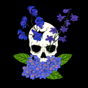 oujiaboardbitches avatar