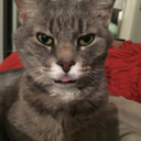 ounceoftalent avatar