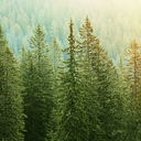 ouniversointeironumacscadenoz avatar