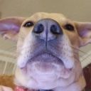 our-mother-mountain avatar