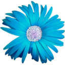 our-own-make-believe avatar