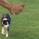 ourdetestation-blog avatar