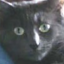 ourdreamsdefineus avatar