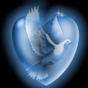 ourfuturetogether avatar