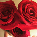 ourhospitality avatar