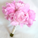 ourjulybliss-blog avatar