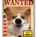 ourkenapecn-blog avatar