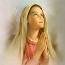 ourlady-blog avatar