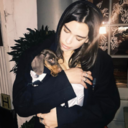 ourlastwandering avatar