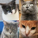 ourlivesrightmeow avatar