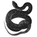 ouroboroos avatar