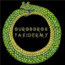 ouroborostaxidermy avatar