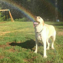 ourrandomjourneys avatar