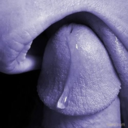 oursexxx avatar