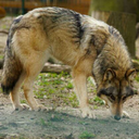 ourskintobone avatar