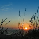 outerbanksvacations-blog avatar