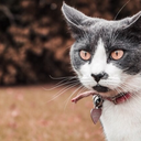 outernet-trash03 avatar