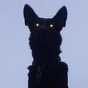 outnumberedsins avatar