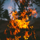 outofnowhere-82 avatar