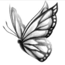 outoforderlyfashion avatar