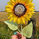 outofreach0840 avatar