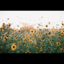 outofthisworld98 avatar