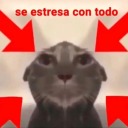 outofthymeblr avatar