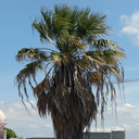 outoftownagain avatar