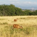 outsideanything avatar