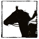 outsideofahorse avatar