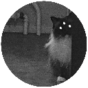 ovaesen avatar