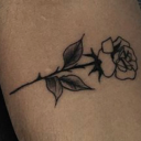 over-dose-of-dreams avatar