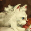 overcooked-rock avatar