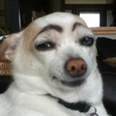 overdose-de-riso avatar