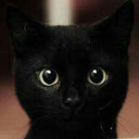 overdose-decafe-blog avatar