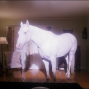 overgrownarden avatar