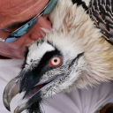 overgrownmoon avatar