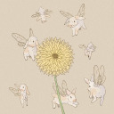 overlooked-fairy avatar