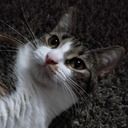 overlord-minami avatar