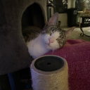 overlyenthusasticagent avatar