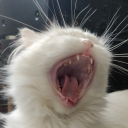 overninethousand avatar