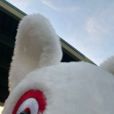 overreggiulated avatar