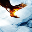 overspiltmilk avatar