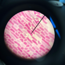 overt-whalewatching avatar