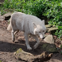 overthhillsandfaraway avatar