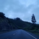 overwhelmeddreamer avatar