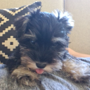 overwhelmingthoughts avatar