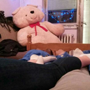 ovojezanjega2409 avatar